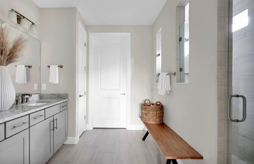 Owner's Bathroom