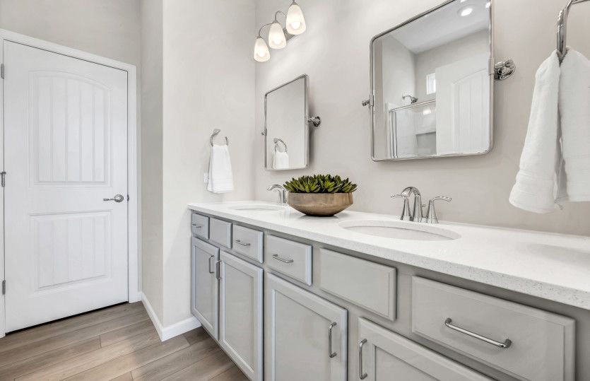 Owner's Bath with Double Bowl Vanity
