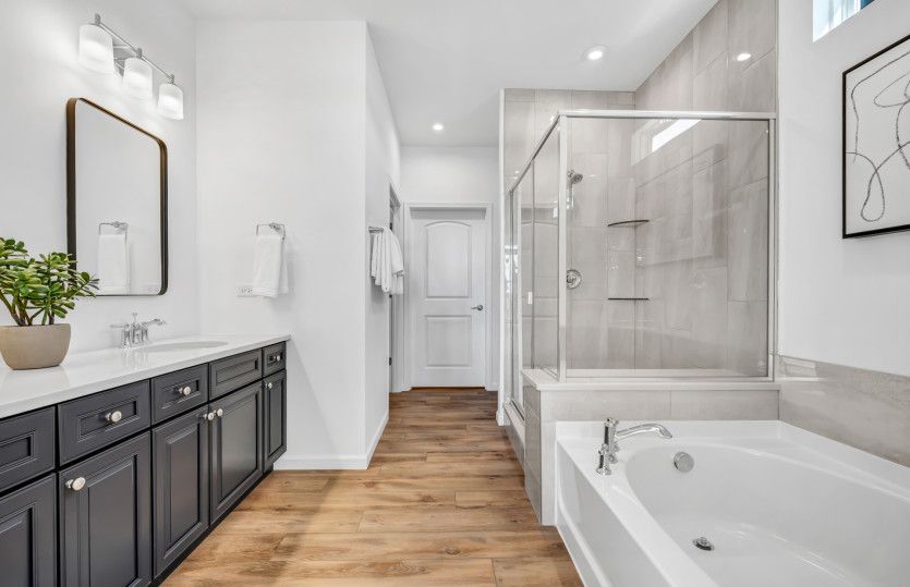 Owner's Bath