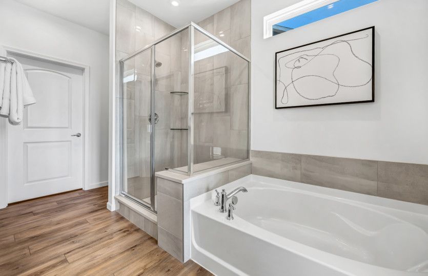 Separate Tub/Shower in Owner's Bath
