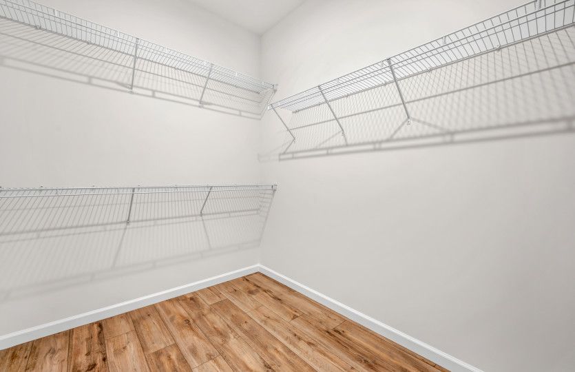 Walk-in Closet with Shelving