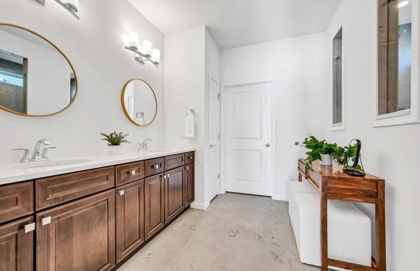 Owner's Bath