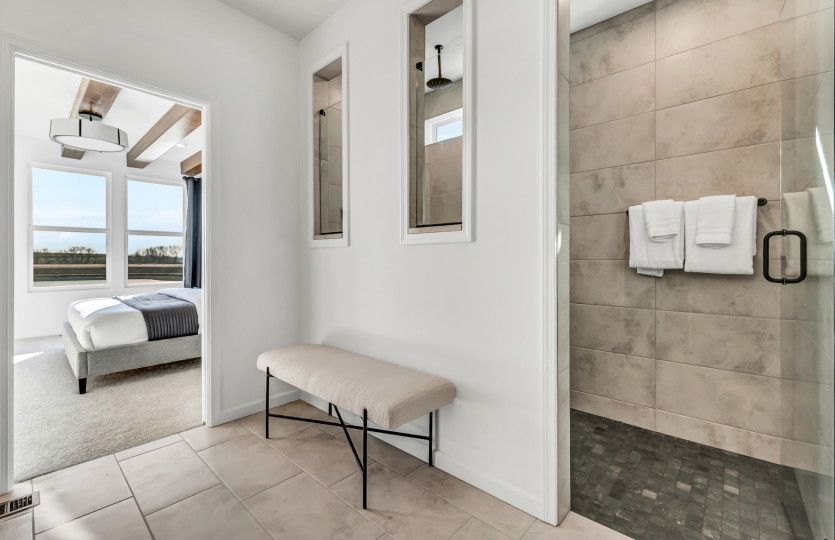 Owner's Bath with Optional Walk-in Shower