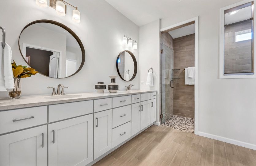 Owner's Bath