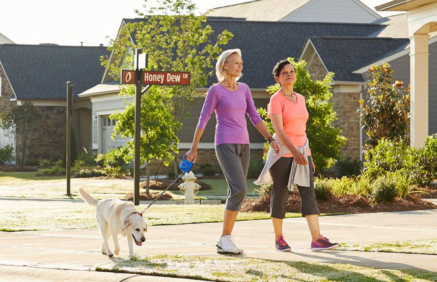 Elevated Walking Trails