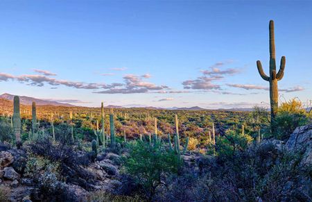 Breathtaking Desert Scenery