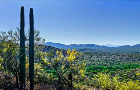 Nearby Rincon Mountains