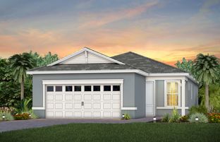 Contour - Del Webb at Viera: Melbourne, Florida - Del Webb