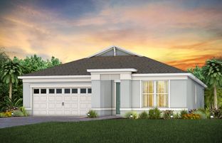 Palmary - Del Webb at Viera: Melbourne, Florida - Del Webb