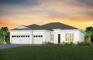 Stellar - Del Webb at Viera: Melbourne, Florida - Del Webb