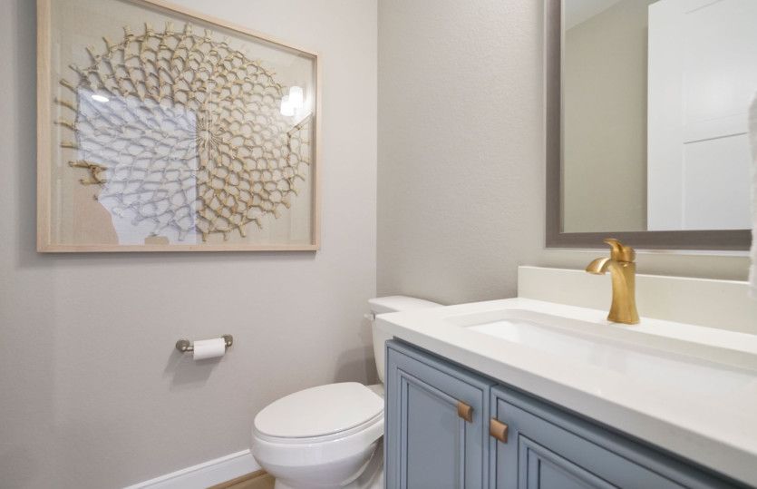 Powder Bath