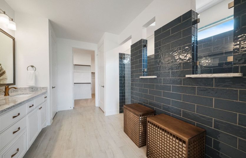Owner's Bath Spa Shower