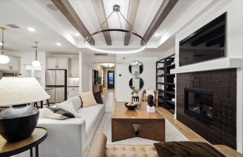 Gathering Room with Tray Ceiling and Transitional Fireplace