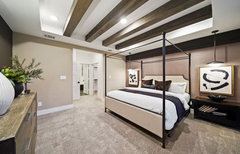 Owner's Retreat with Tray Ceiling