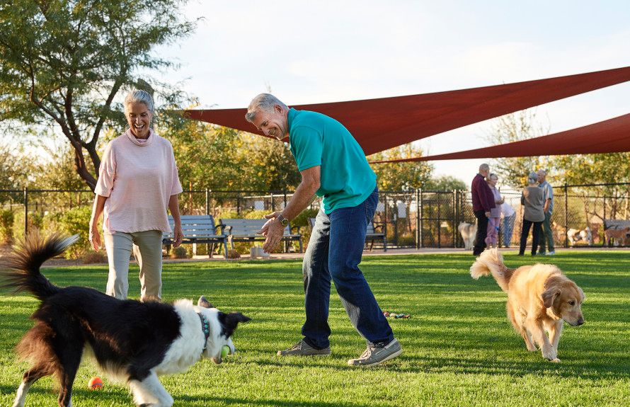 Coming Soon! Dog Park