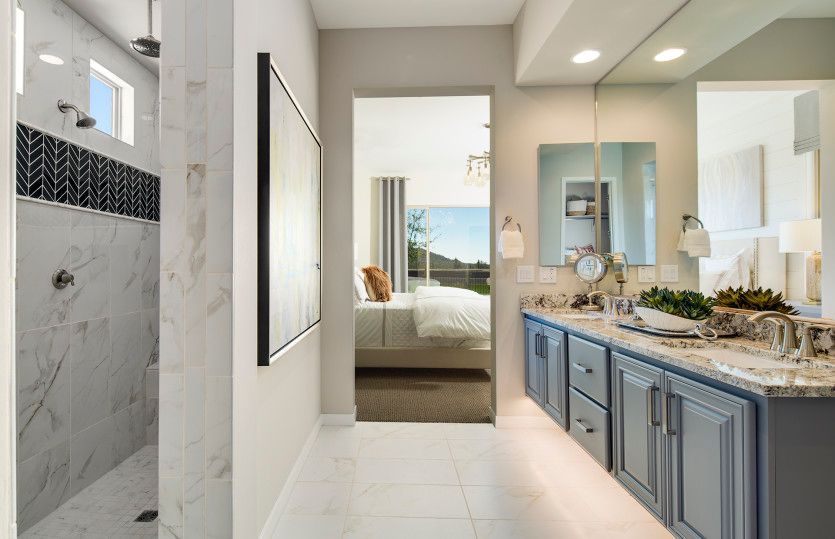 Owner's Bath