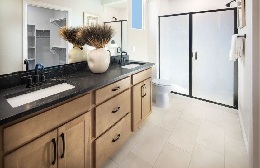 Owner's Bath