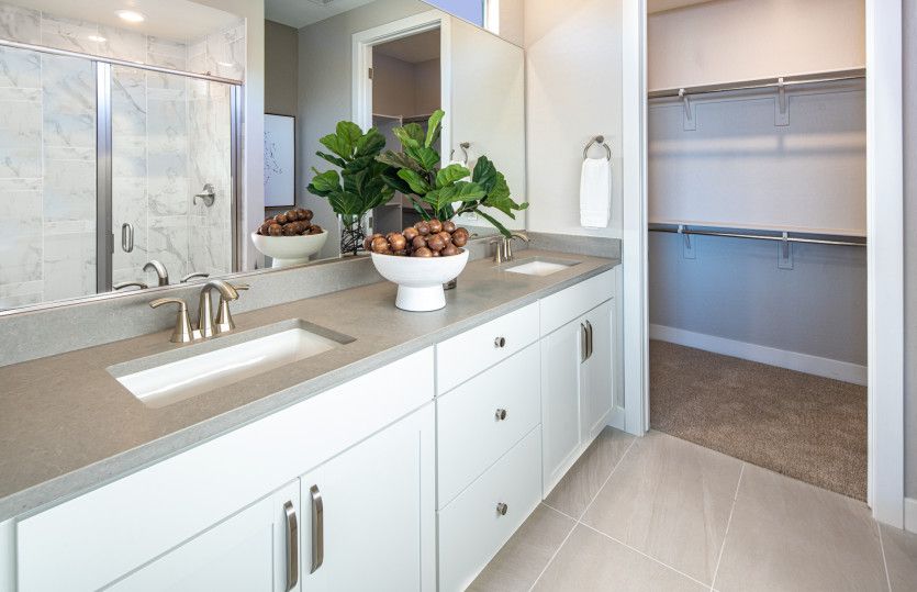 Owner's Bath