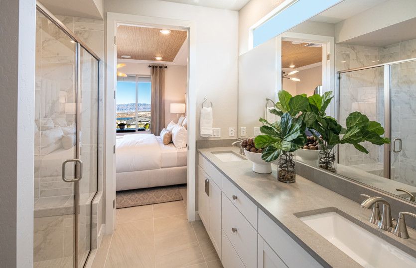 Owner's Bath