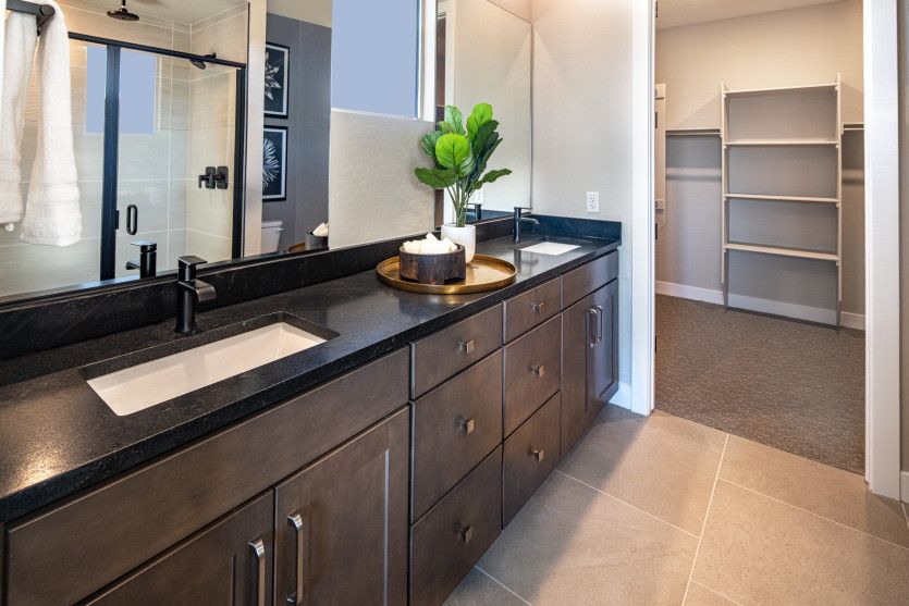 Owner's Bath