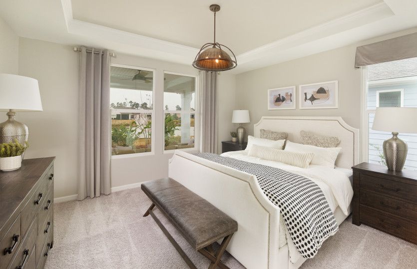 Elegant owner's suite with a tray ceiling and oversized windows that allow ample light to flow in.