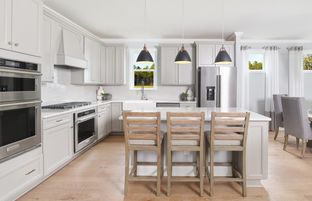 Prosperity - Del Webb Charleston at Nexton: Summerville, South Carolina - Del Webb