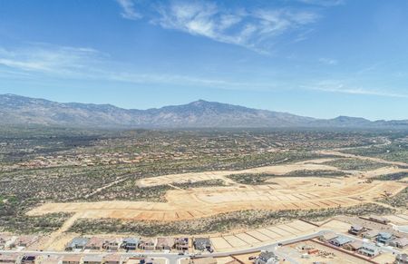 Model Homes Opening Late 2023