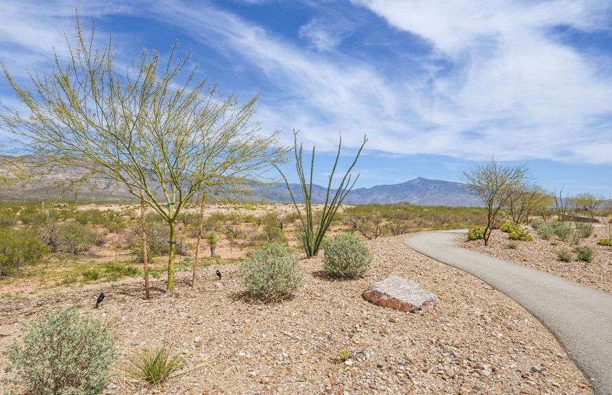 Beautiful Walking Trails