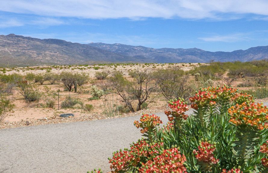 Nearby Rincon Mountains