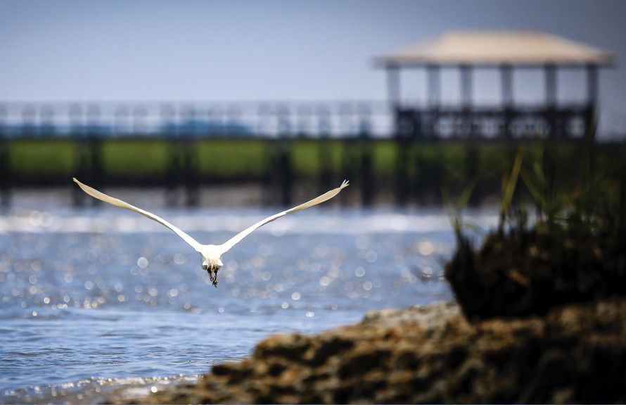 Become One With Nature