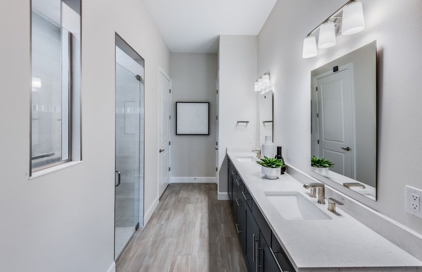 Owner's bath