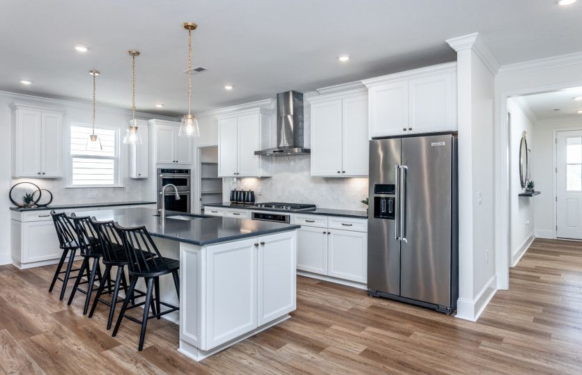Modern Gourmet Kitchen