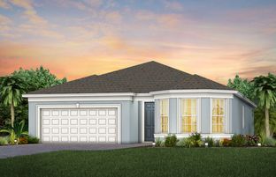 Palmary - Del Webb Minneola: Minneola, Florida - Del Webb