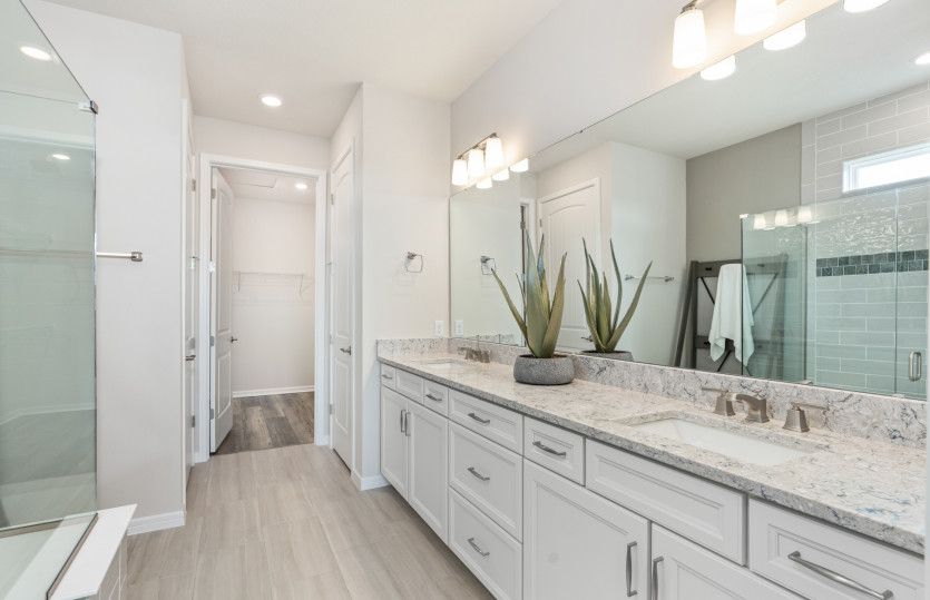 Owner's Bath