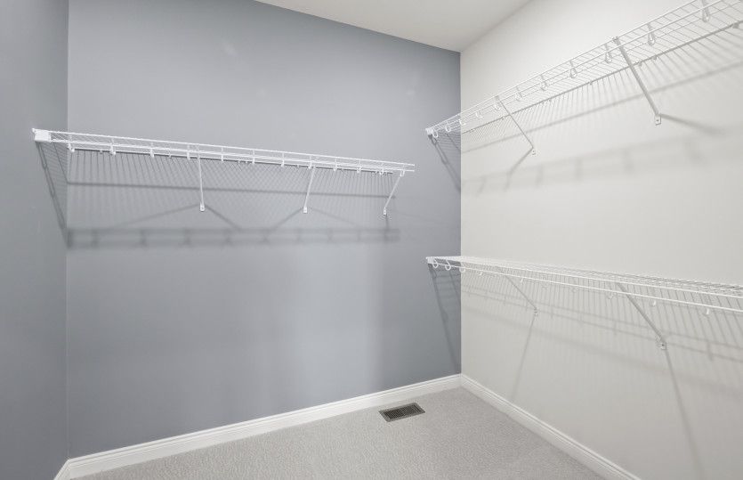 Walk-in Closet with Shelving