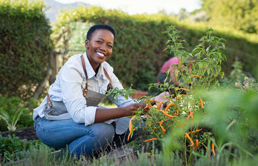 Community Garden