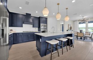 Mystique - Del Webb Saint Johns: Saint Johns, Florida - Del Webb