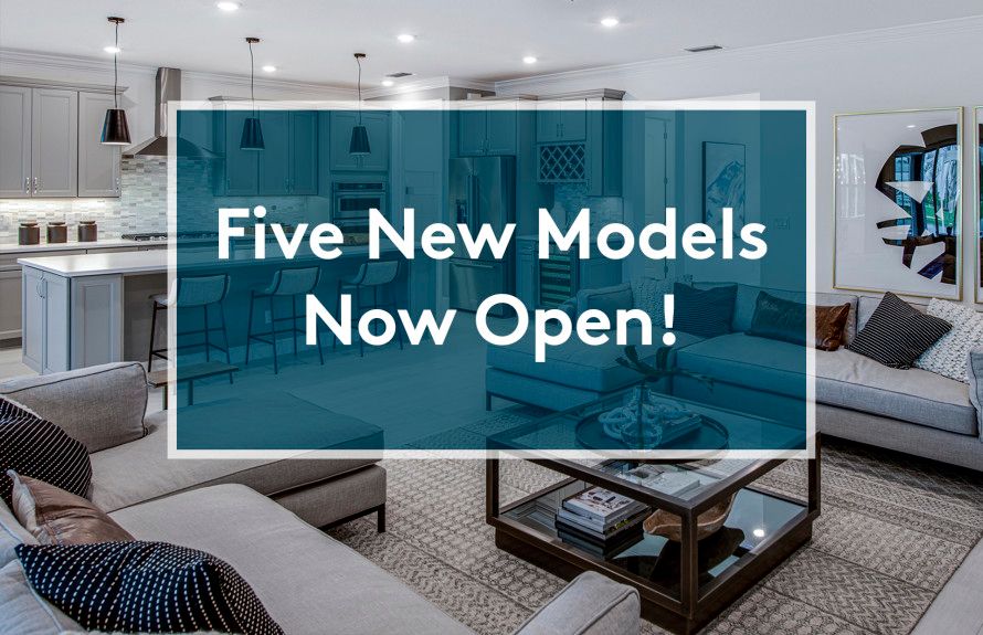 Sun City Peachtree in Griffin, GA New Homes by Del b