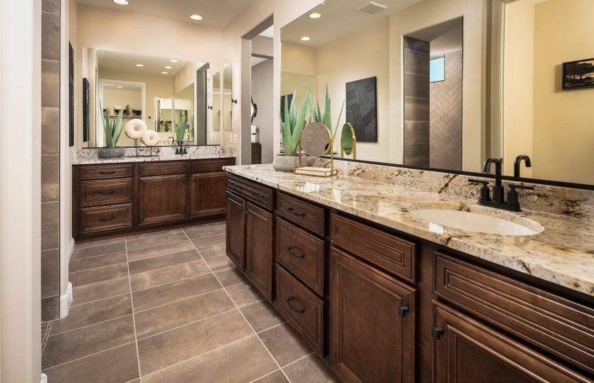 Luxurious Owner's Bath