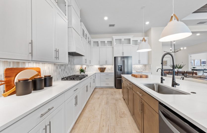 Gourmet kitchen
