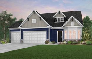 Martin Ray with Basement - Bellwether by Del Webb: Corcoran, Minnesota - Del Webb