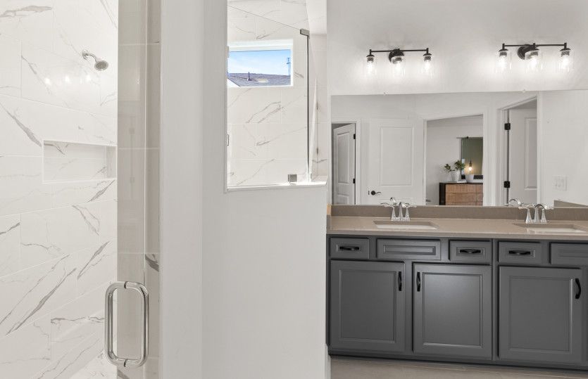 Owner's Bathroom