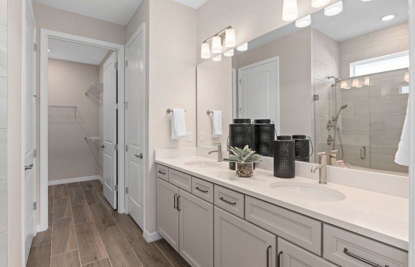 Owner's Bath