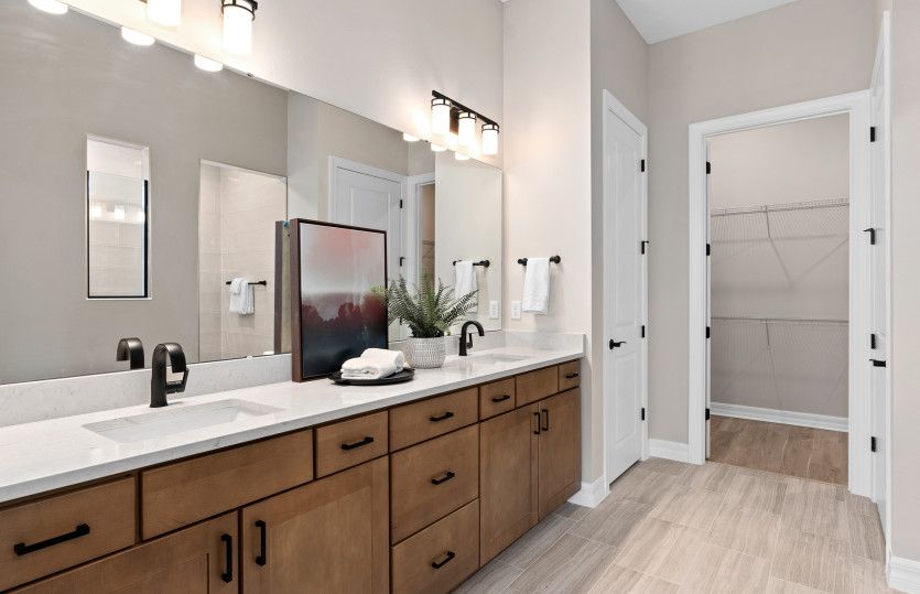 Owner's Bath