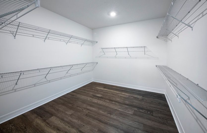 Stellar Owner's Closet