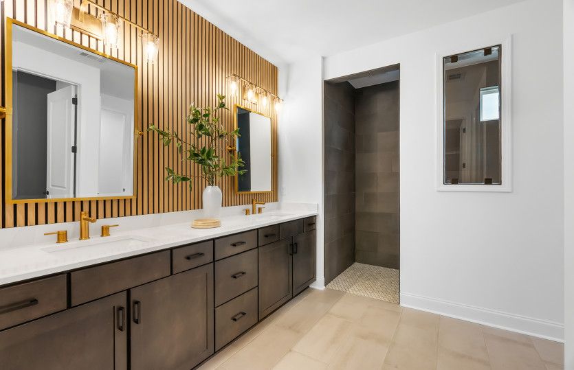 Renown Owner's Bath