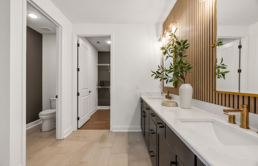 Renown Owner's Bath