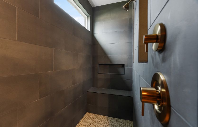 Renown Owner's Bath