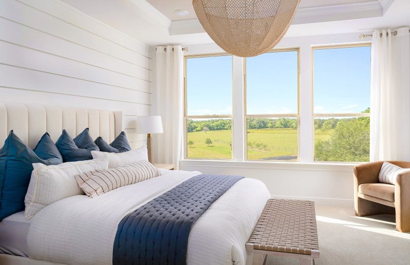 Primary Owner's Suite with Tray Ceiling