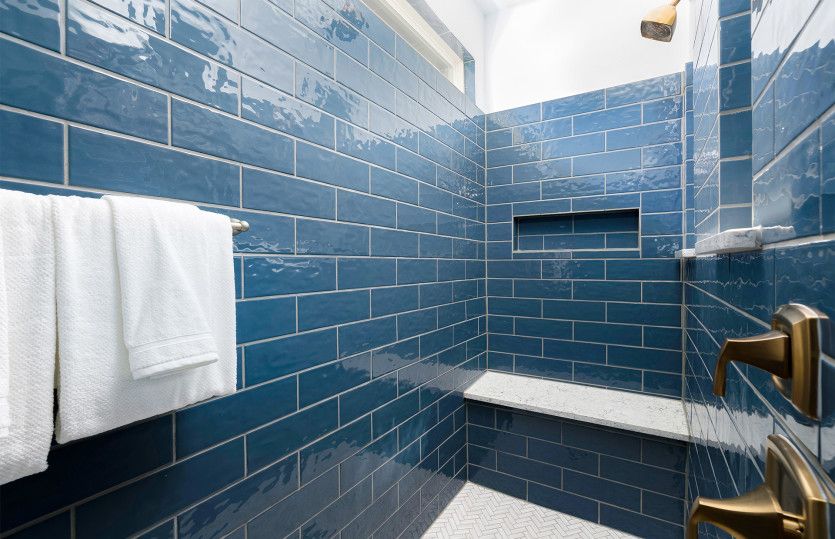 Owner's Bath Spa Shower